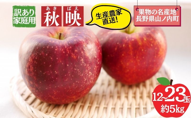 秋映 訳あり家庭用 約5kg 12～23玉 りんご 果物 訳あり 信州 長野