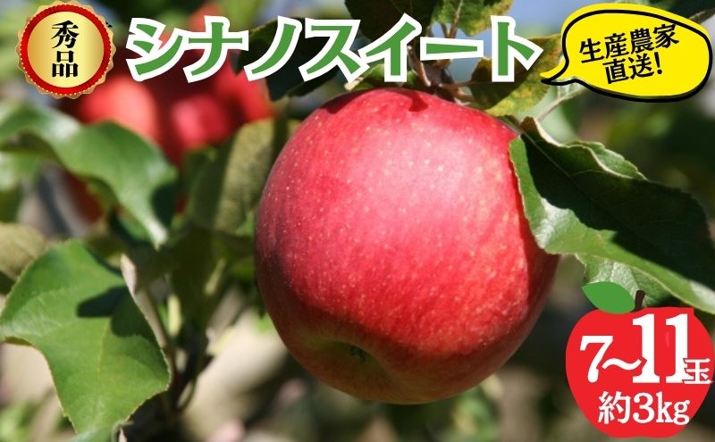 y쌧Rmzy2026NzVimXC[g Gi 3kg 7`11  ʕ MB 