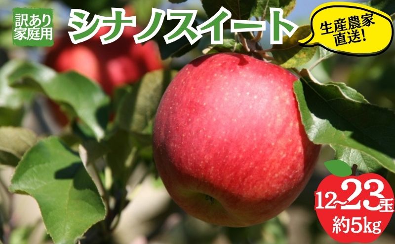 y쌧Rmzy2026NzVimXC[g 󂠂ƒp 5kg 12`23  ʕ 󂠂 MB 