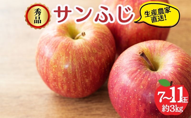 y쌧RmzTӂ Gi 3kg 7`11  ӂ ʕ MB 