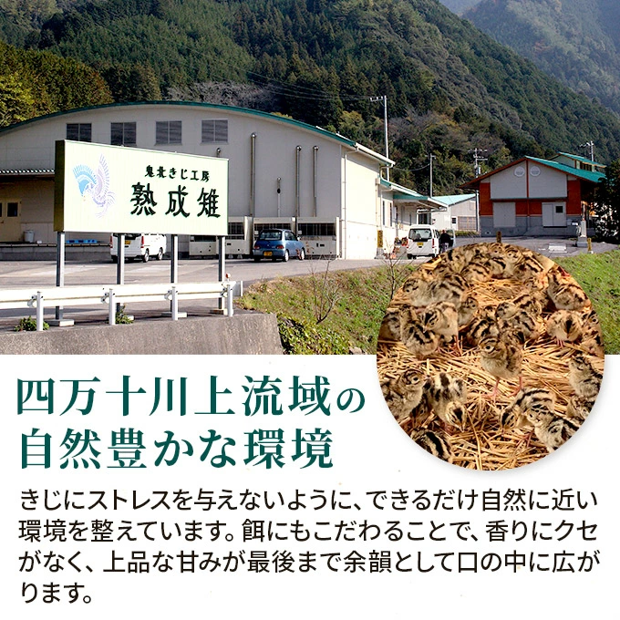 愛媛県鬼北町のふるさと納税 ＜ふるさと納税限定＞きじ丸鶏1羽（約900g） ◇ ｜ キジ肉 雉 きじ キジ ジビエ とり 鶏肉 パーティー ムネ モモ ササミ 秋 冬 熟成 加工品 愛媛県 鬼北町　※離島への配送不可