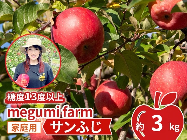 りんご 【 数量限定 】 糖度13度以上 家庭用 サンふじ 約 3kg 糖度 青森 果物 くだもの フルーツ 青森県 鰺ヶ沢