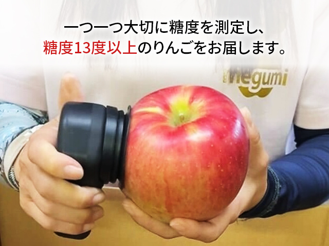 りんご 【 数量限定 】 糖度13度以上 家庭用 サンふじ 約 3kg 糖度 青森 果物 くだもの フルーツ 青森県 鰺ヶ沢 megumi farm
