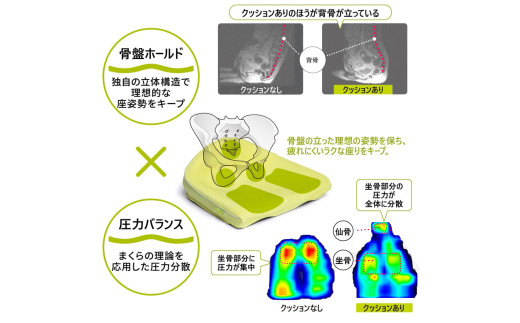 【nishikawa/西川】 Keeps(キープス)for Kids／ラベンダー【P379W】