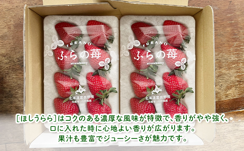 【2026年先行予約】 富良野産 いちご ほしうらら 大玉 6～8粒×2パック　［ フルーツ 果物 新鮮 贈り物 ギフト フルーツ 生いちご イチゴ 苺 大粒 甘い 道産 北海道 富良野 ］