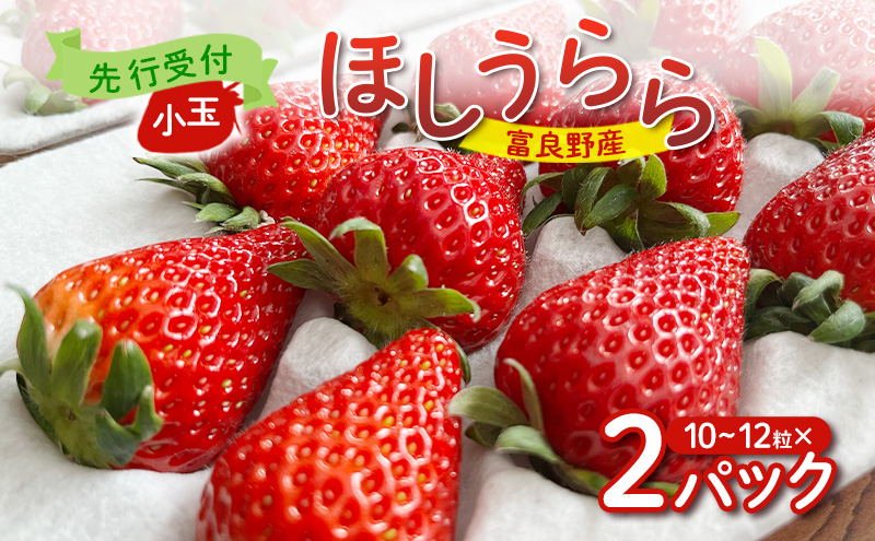 ykCxǖszy2026Ns\z xǖY  ق  10`12×2pbN@m t[c ʕ VN 蕨 Mtg t[c  C`S  嗱 Â Y kC xǖ n