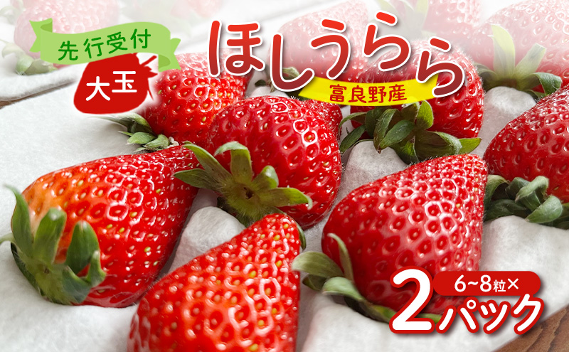 ykCxǖszy2026Ns\z xǖY  ق  6`8×2pbN@m t[c ʕ VN 蕨 Mtg t[c  C`S  嗱 Â Y kC xǖ n