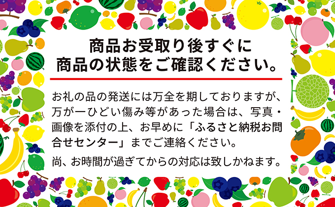 【2026年先行予約】 富良野産 いちご スターナイト 小玉 10～12粒×2パック　［ フルーツ 果物 新鮮 贈り物 ギフト フルーツ 生いちご イチゴ 苺 大粒 甘い 道産 北海道 富良野 ］
