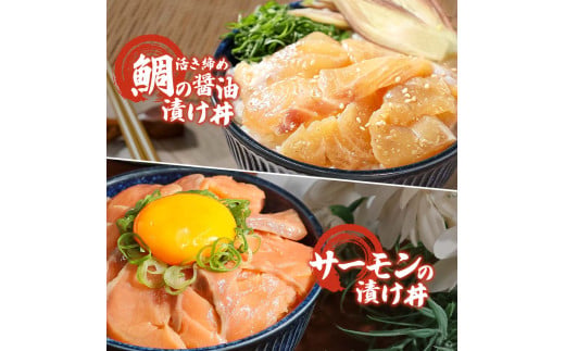 訳あり 海鮮漬け丼 タイ12P・サーモン8Pセット 1袋60g 真鯛 タイ サーモン 詰め合わせ お茶漬け 醤油 漬け 食べ比べ おつまみ 惣菜 鯛茶漬け 魚介類 海鮮 新鮮 天然 美味しい 活き締め 冷凍 配送