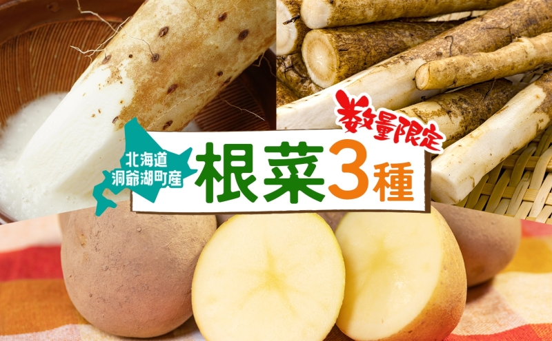 約20kg 北海道産「薪（白樺＆MIX）」白樺樹皮（焚き付け）1袋付