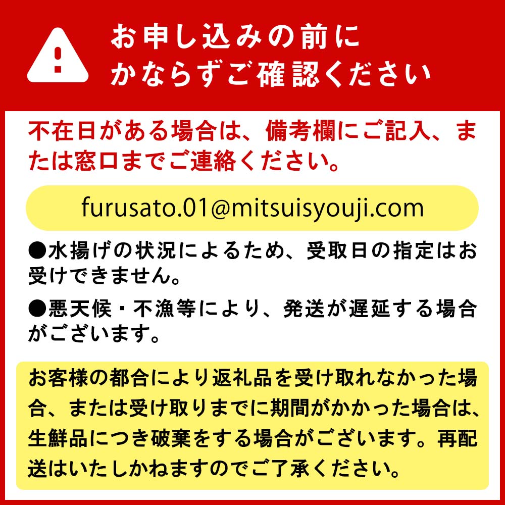 北海道産 活ホッキ 貝 20個  ホッキ 北寄 北寄貝 貝 殻付き 海鮮 海産物 新鮮 旬