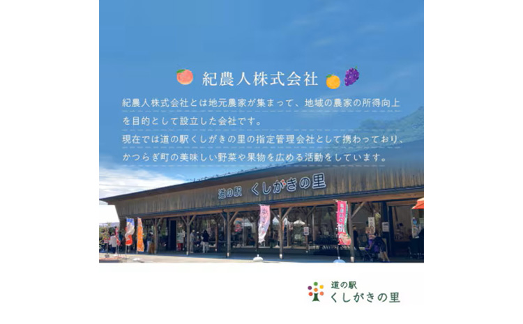 先行予約!紅はっさく 約5kg/12～18個入り(L～2Lサイズ)こだわり農家厳選! ※2026年1月下旬～2月下旬頃より順次発送予定