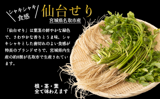 宮城県名取市のふるさと納税 【2025年先行予約】【お届け日時指定必須】名取名産　美味なる根っこを食す「せり鍋セット」2、3人前（漁亭 浜や） 根・茎・葉をすべて楽しむ