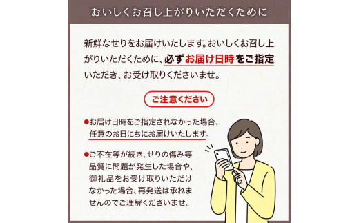 宮城県名取市のふるさと納税 【2025年先行予約】【お届け日時指定必須】名取名産　美味なる根っこを食す「せり鍋セット」2、3人前（漁亭 浜や） 根・茎・葉をすべて楽しむ