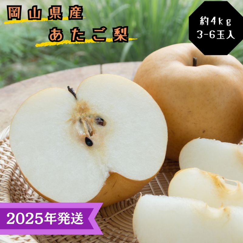 【2025年先行受付】 梨 あたご梨  秀品 約4kg(3～6玉) 岡山名産 日本一大きな梨 なし ナシ お歳暮 ギフト 御礼 プレゼント 御礼 御祝 御供 果物 くだもの フルーツ