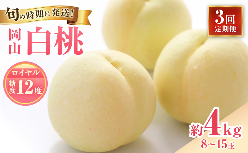 yR˓szy2026Nstz  3  G C  RY    䒆 Mtg  v[g  j 䋟 ʕ  t[c