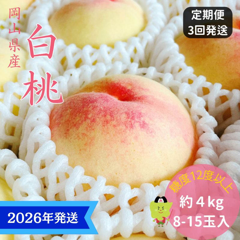 【2026年先行受付】 白桃 3回 定期便 特秀 ロイヤル 大玉 岡山県産 桃 もも モモ 御中元 ギフト 御礼 プレゼント 御礼 御祝 御供 果物 くだもの フルーツ