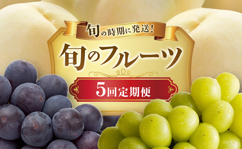 �y���R�����˓��s�z�y2026�N��s��t�z ���� �j���[�s�I�[�l �V���C���}�X�J�b�g ���� 5�� ����� �� ���� ���� �Ԃǂ� ���� �u�h�E ���R���Y�@�䒆�� �M�t�g ��� �v���[���g ��� ��j �䋟 �ʕ� �������� �t���[�c