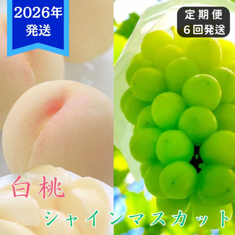 【2026年先行受付】 白桃 シャインマスカット 晴王 6回 定期便 桃 ぶどう 岡山県産 御中元 ギフト 御礼 プレゼント 御礼 御祝 御供 果物 くだもの フルーツ もも モモ 葡萄 ブドウ