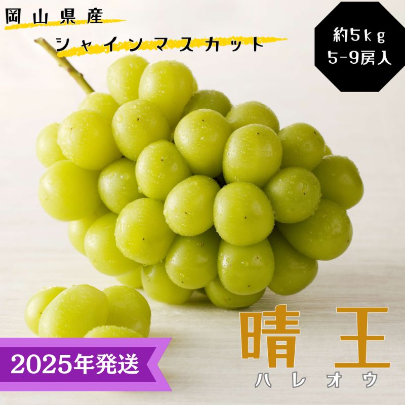 yR˓szy2025Nstz VC}XJbg  Gi [ 5kg(5`9[) RY RY Ԃǂ  uhE Mtg  v[g  j 䋟 ʕ  t[c