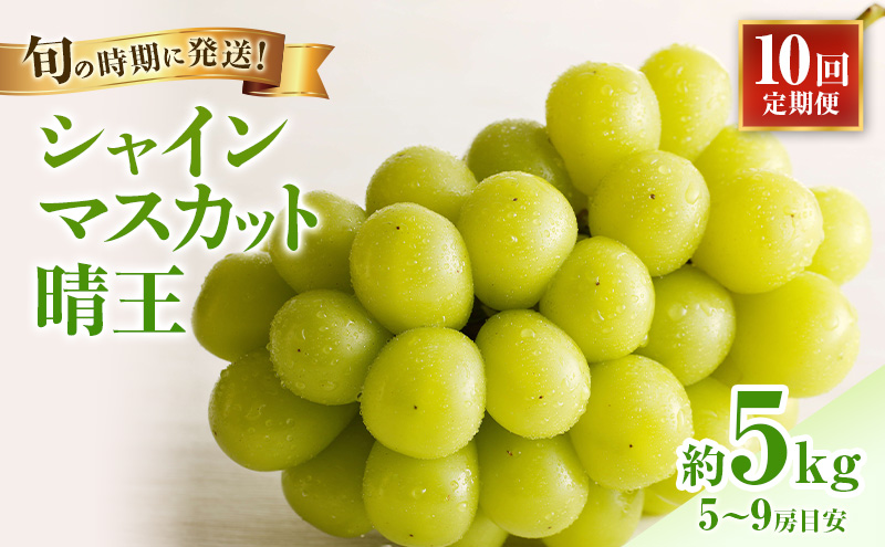 �y���R�����˓��s�z�y2026�N��s��t�z �V���C���}�X�J�b�g ���� 10�� ����� �G�i ��[ ���R���Y �Ԃǂ� �M�t�g ��� �v���[���g ��� ��j �䋟 �ʕ� �������� �t���[�c