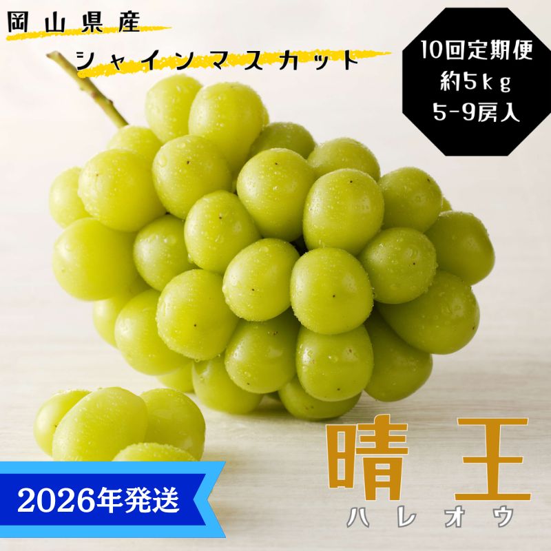 【岡山県瀬戸内市】【2026年先行受付】 シャインマスカット 晴王 10回 定期便 秀品 大房 岡山県産 ぶどう ギフト 御礼 プレゼント 御礼 御祝 御供 果物 くだもの フルーツ