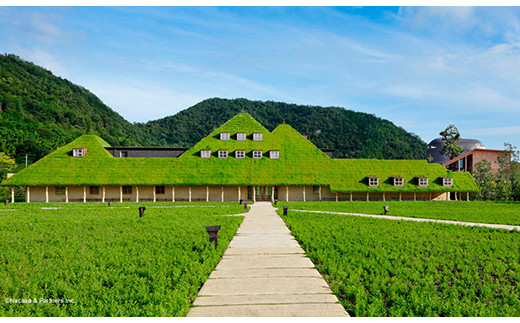 【たねや】栗饅頭５個・斗升最中５個・カステラ２本入【FT11W】