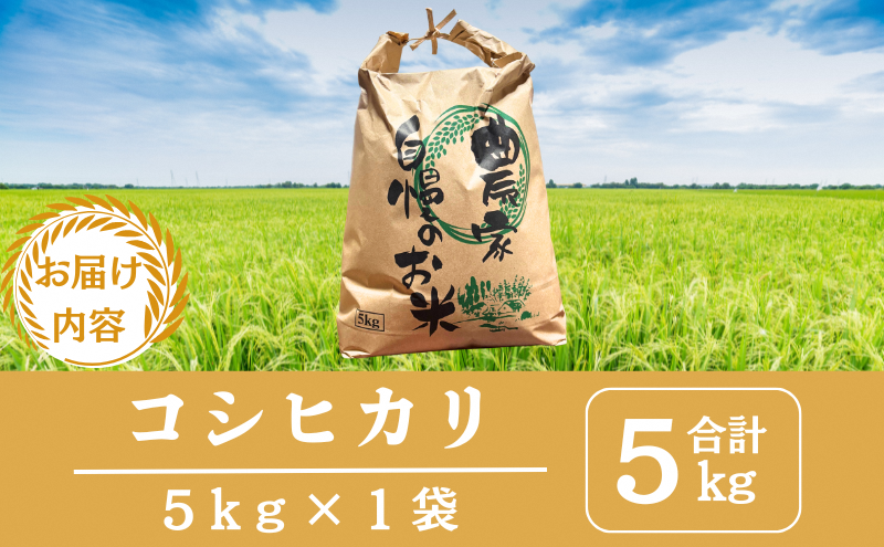 令和6年産 京都美山産コシヒカリ 5kg　こしひかり 精米 コメ こめ お米 単一原料米 ごはん ご飯 京都