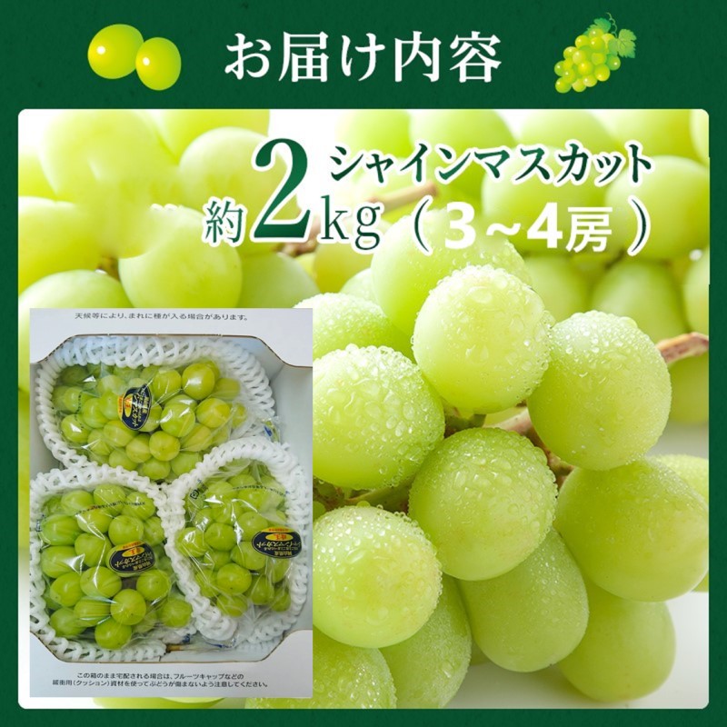2026年 早期受付 ぶどう シャインマスカット 約2kg（3～4房）岡山県高梁市産 沖島ファーム 化粧箱入り 葡萄 ブドウ 贈答用