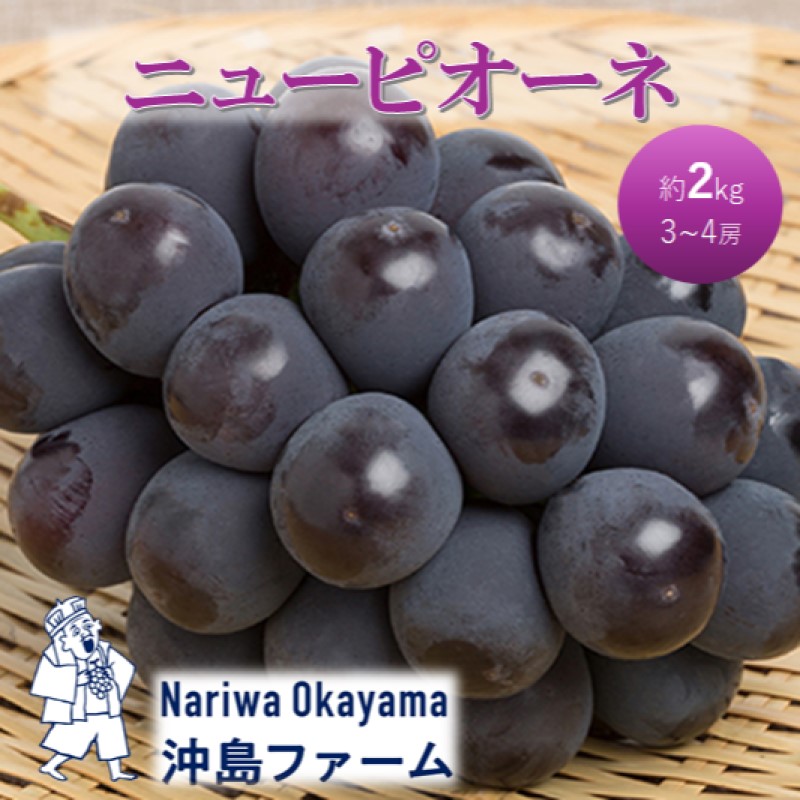 yRsz2026N t Ԃǂ sI[l 2kgi3`4[jRsY t@[ ϔ  uhE p