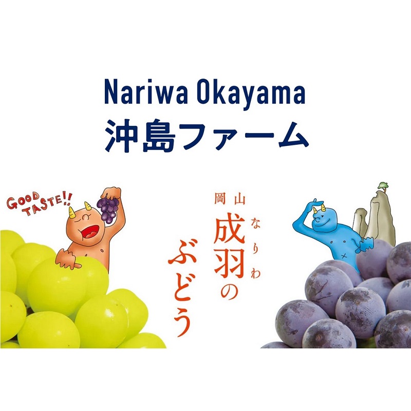 2026年 早期受付 ぶどう ピオーネ 約2kg（3～4房）岡山県高梁市産 沖島ファーム 化粧箱入り 葡萄 ブドウ 贈答用