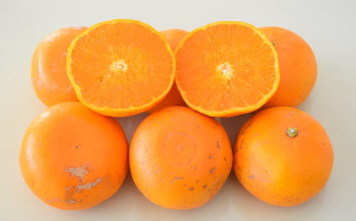 (訳あり・ご家庭用)一度は食べていただきたい「有田産のせとか」約4kg～5kg ※2026年2月中旬～3月上旬頃に順次発送予定