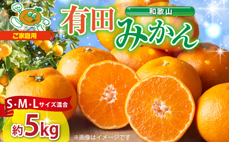 S_[セゾン限定][2025年先行予約][ご家庭用]有田みかん約5kg サイズ混合(S・M・Lサイズ)[湯浅町]