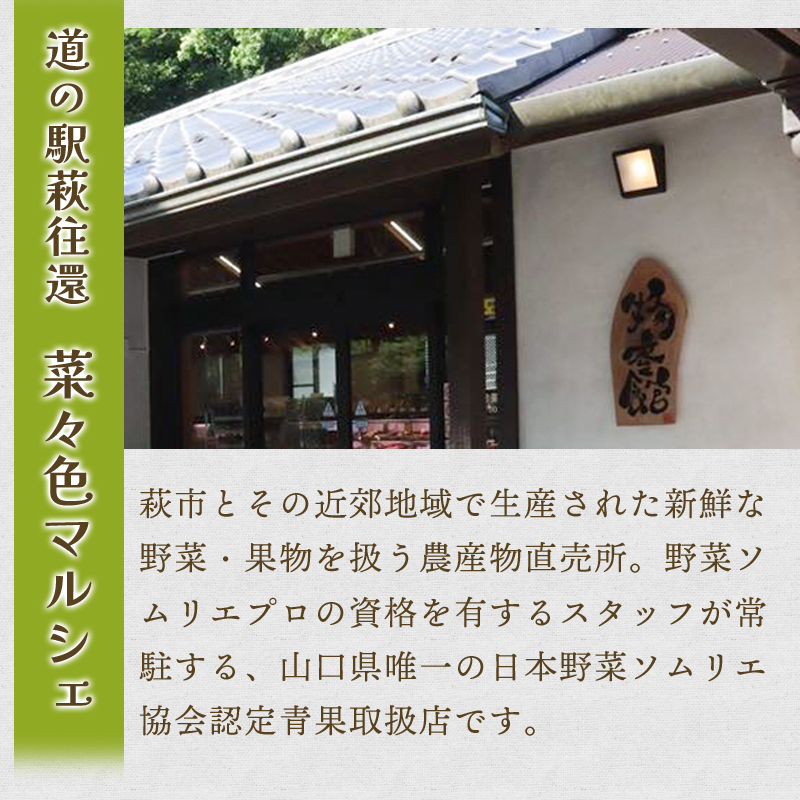 山口県萩市のふるさと納税 野菜ソムリエプロselect／萩・季節の食材定期便　隔月発送・3回コース｜HG0T0032-B