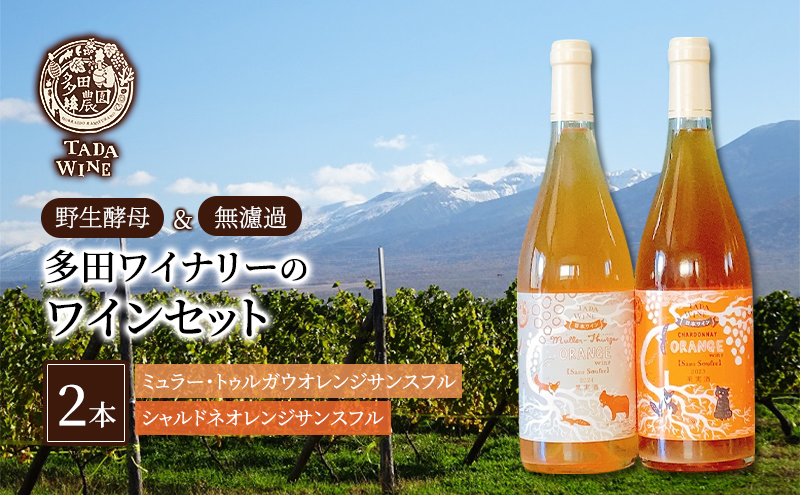 上富良野町発祥！伝説のホップ「ソラチエース」使用【SORACHI 1984