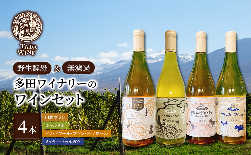 9ヵ月連続定期便】北海道 上富良野町発祥 伝説のホップ SORACHI 1984
