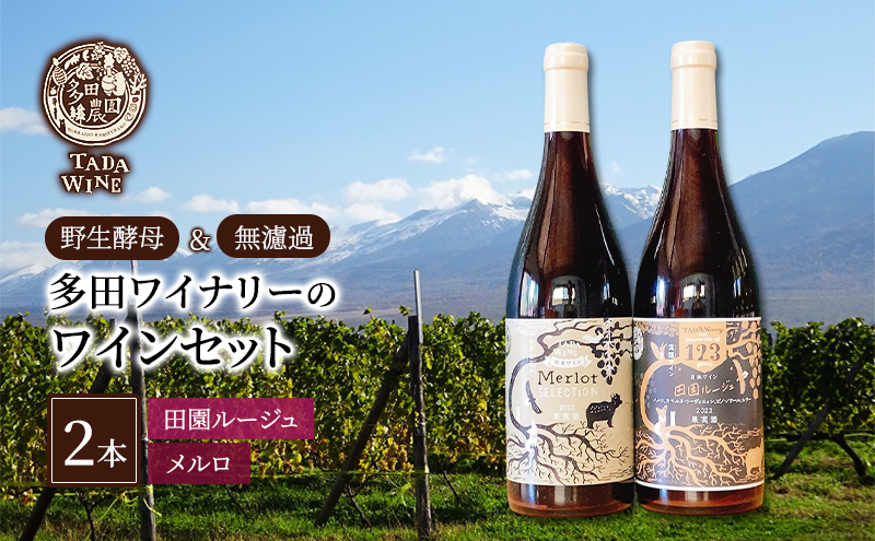 ◇定期便(全12回)◇SORACHI 1984≪ソラチ1984≫1箱（350ml×12缶） 吉澤