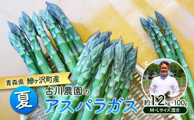 yX˃򒬁zăAXpKX 1.2kg {100g M`L  Ð_ ICό  AXpKX AXp h{Lx ق̂Â  ƂH  ܂  ٓ H