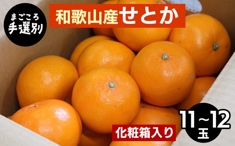 【まごころ手選別】和歌山産　せとか　化粧箱入り　(11～12玉) ※2026年2月下旬～4月中旬頃より順次発送予定