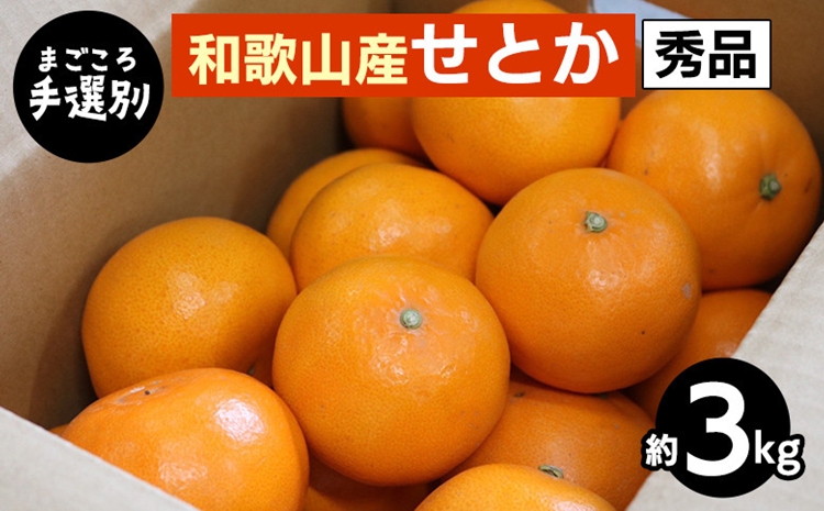 【和歌山県美浜町】【まごころ手選別】和歌山産 せとか 約3kg 秀品 ※2026年2月下旬〜4月中旬頃より順次発送予定