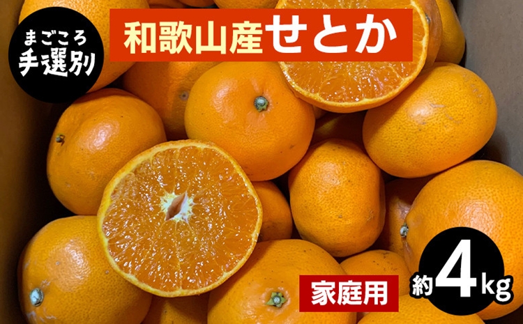 【まごころ手選別】和歌山産　せとか　約4kg 家庭用 ※2026年2月下旬～4月中旬頃より順次発送予定