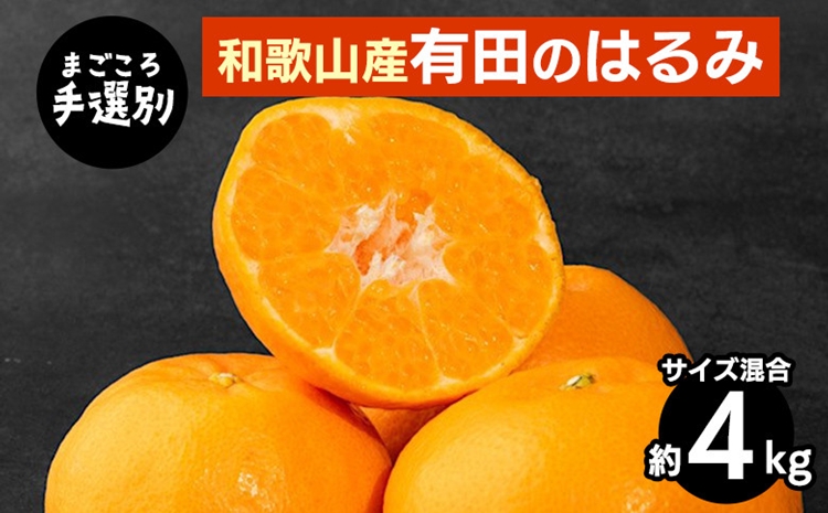【和歌山県美浜町】【まごころ手選別】和歌山産有田のはるみ 約4kg(サイズ混合) ※2026年1月下旬〜2月下旬頃より順次発送予定