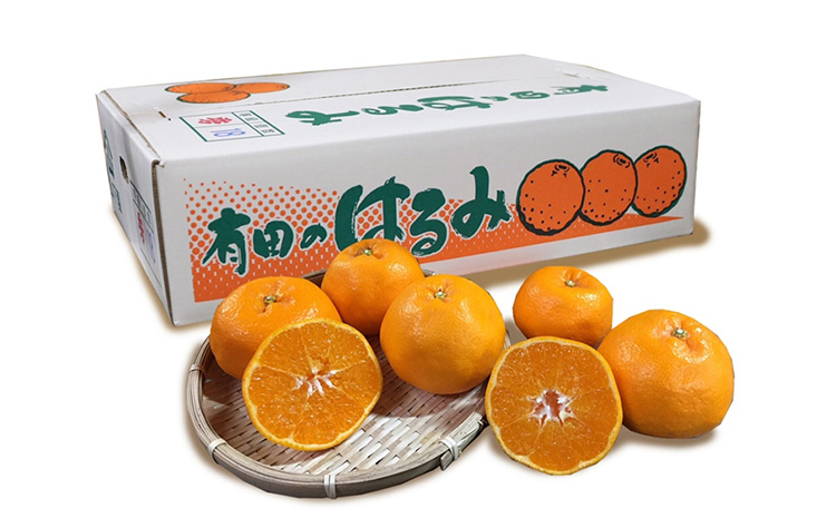 【まごころ手選別】和歌山産有田のはるみ　約4kg(サイズ混合) ※2026年1月下旬～2月下旬頃より順次発送予定