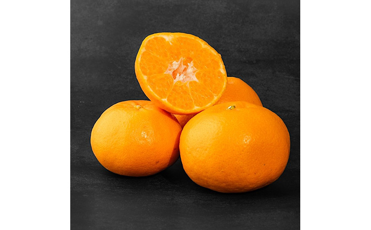 【まごころ手選別】和歌山産有田のはるみ　約4kg(サイズ混合) ※2026年1月下旬～2月下旬頃より順次発送予定