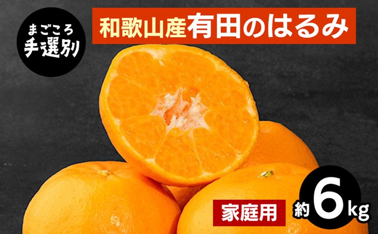 【和歌山県美浜町】【まごころ手選別】和歌山産有田のはるみ 約6kg(家庭用) ※2026年1月下旬〜2月下旬頃より順次発送予定