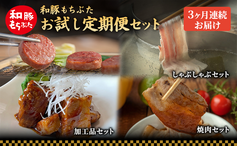 【定期便3回】和豚 もちぶた お試しセット 3ヶ月連続 こだわりのちょっと贅沢 ソーセージ 角煮 もち豚 豚肉 ポーク 肉 豚 ぶた ブタ 豚ロース 加工肉 レトルト レトルト食品 加工肉 アウトドア キャンプ バーベキュー