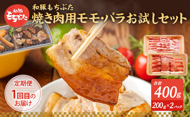 【定期便3回】和豚 もちぶた お試しセット 3ヶ月連続 こだわりのちょっと贅沢 ソーセージ 角煮 もち豚 豚肉 ポーク 肉 豚 ぶた ブタ 豚ロース 加工肉 レトルト レトルト食品 加工肉 アウトドア キャンプ バーベキュー