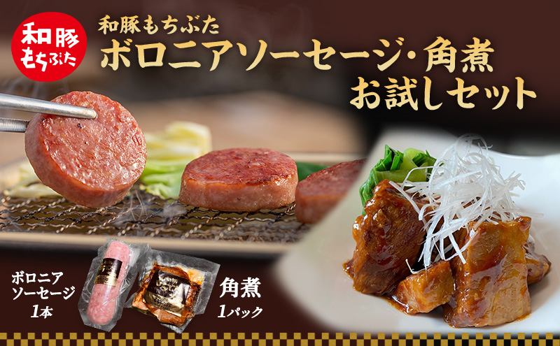 【定期便3回】和豚 もちぶた お試しセット 3ヶ月連続 こだわりのちょっと贅沢 ソーセージ 角煮 もち豚 豚肉 ポーク 肉 豚 ぶた ブタ 豚ロース 加工肉 レトルト レトルト食品 加工肉 アウトドア キャンプ バーベキュー