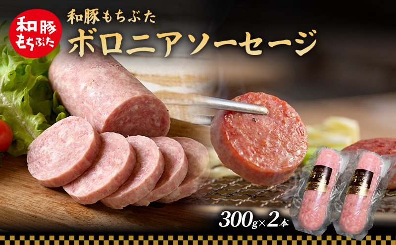 【宮城県大河原町】和豚 もちぶた ボロニアソーセージ 300g×2本 和豚 もち豚 豚肉 ポーク お肉 肉 豚 ぶた ブタ 加工肉 アウトドア