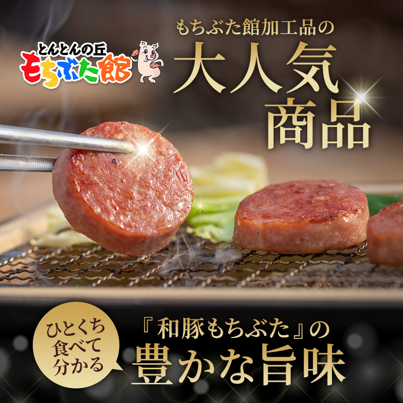 和豚 もちぶた ボロニアソーセージ 300g×2本 和豚 もち豚 豚肉 ポーク お肉 肉 豚 ぶた ブタ 加工肉 アウトドア